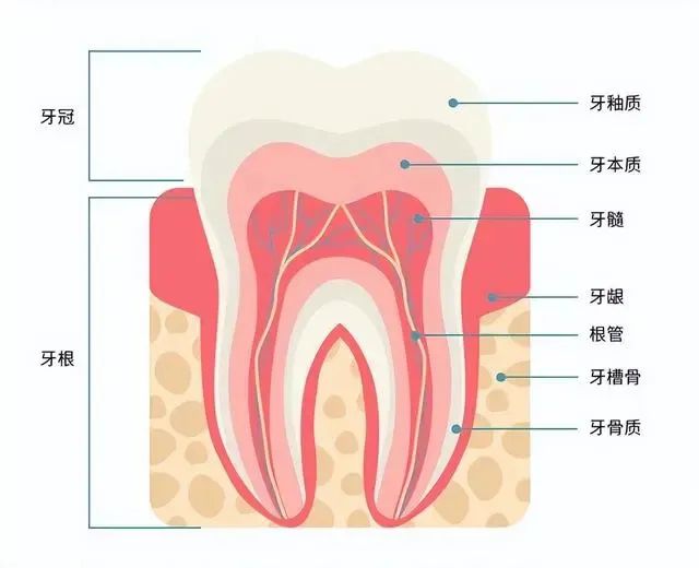 1679208578821356.jpg 微信图片_20230319144541.jpg